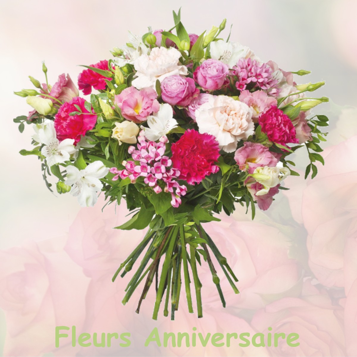 fleurs anniversaire PLOMBIERES-LES-DIJON